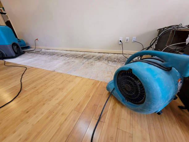Professional Basement Flood Cleanup technician working in Lyman, WY